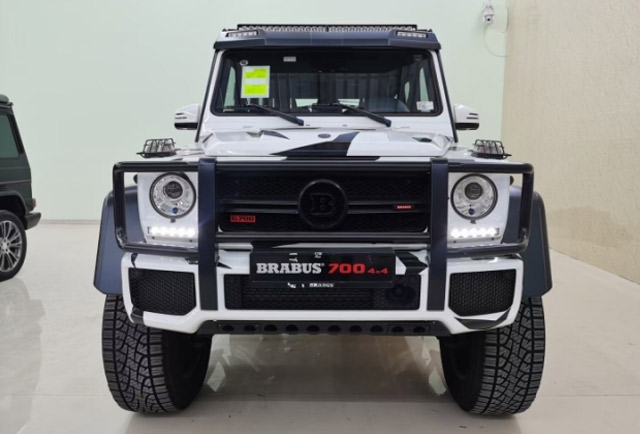 19款 巴博斯G700 4x4 迷彩白 