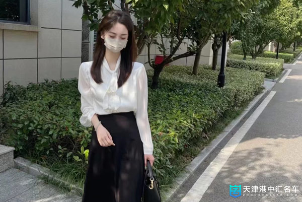 新能源汽车市场震动”：特斯拉下滑了6名，理想跌出前十行列（新能源汽车特斯拉近年发展）